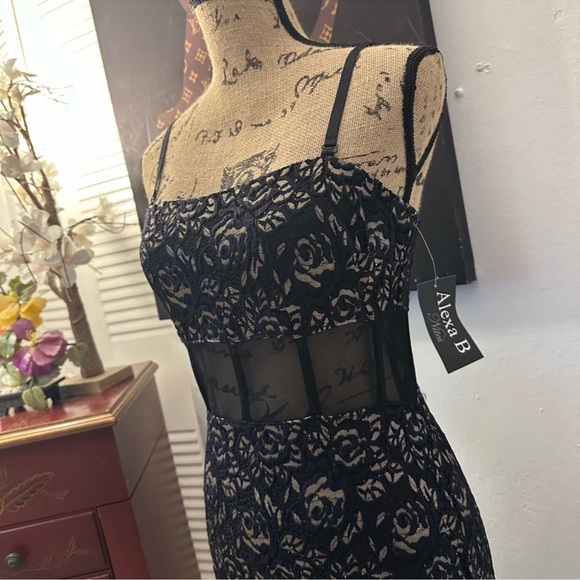 🆕Alexa B. Lace Dress - Picture 5 of 16